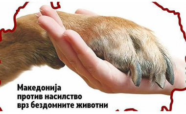 Diskutim publik “Maqedonia kundër dhunës ndaj kafshëve”