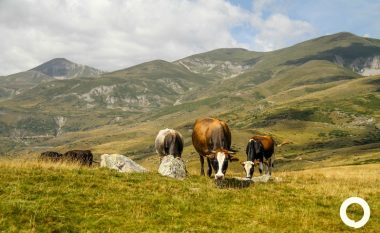 Kërkohet vizion për “Malin Sharr” në Maqedoni