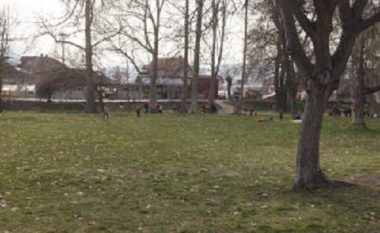 Parku i Sarajit i lënë pas dore (Video)