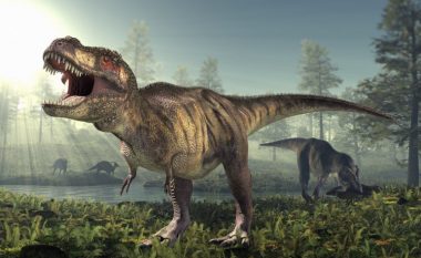 Shkencëtarët thonë se dinozauri T-Rex ka qenë shumë i ndjeshëm (Foto)