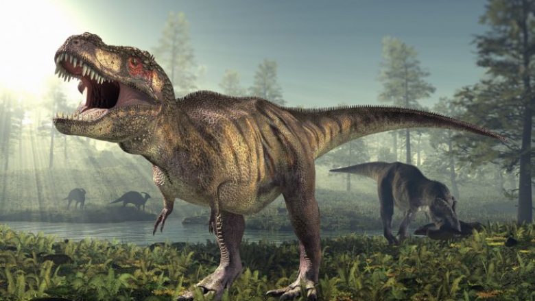 Shkencëtarët thonë se dinozauri T-Rex ka qenë shumë i ndjeshëm (Foto)