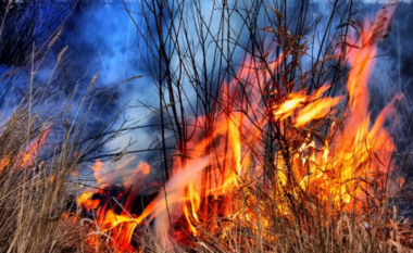 Rritet numri i zjarreve në Pollog, ankohen zjarrfikësit (Video)