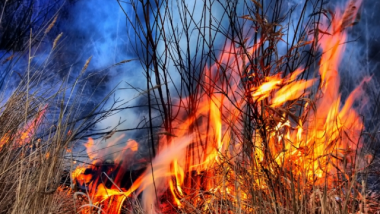 Zjarr në Vejce të Tetovës, dëmtohen dy makina