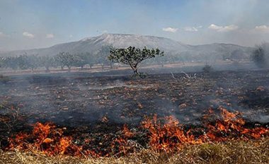 Në Maqedoni fillon fushata e vetëdijësimit për zjarret në natyrë