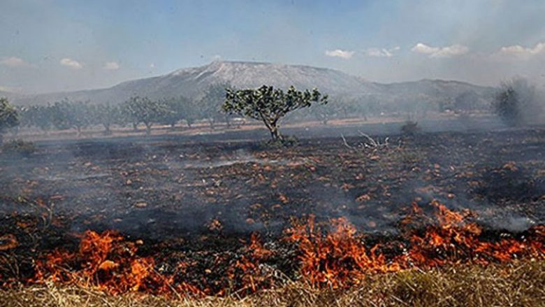 Në Maqedoni fillon fushata e vetëdijësimit për zjarret në natyrë