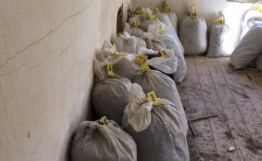 Në Lezhë sekuestrohen 700 kg narkotikë, disa të arrestuar