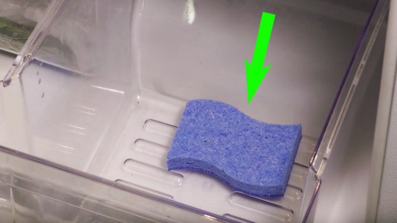 Përse duhet të mbani gjithmonë një sfungjer brenda frigoriferit