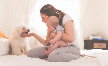 Pse pronarët e qenve kanë bebe më të shëndetshme