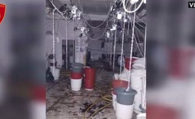Policia zbulon laborator droge në Vlorë (Video)