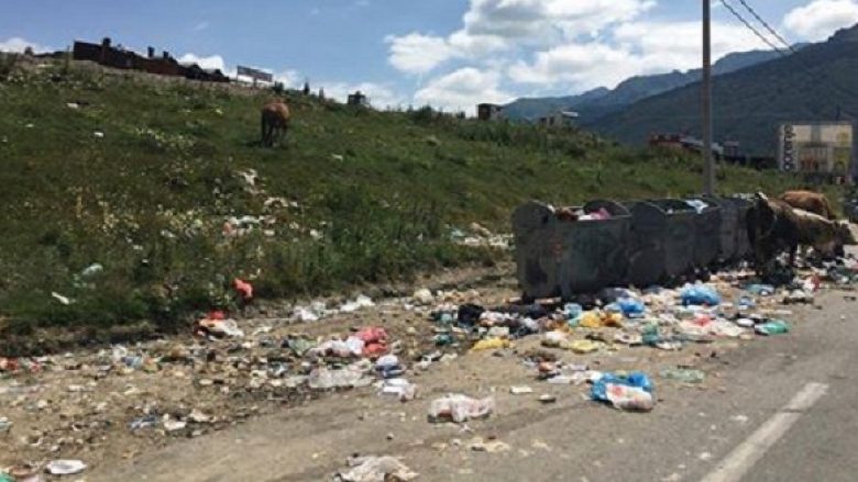 Ekologët e Kosovës kërkojnë mbrojtje të mjedisit nga piknikët e 1 Majit