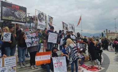Protesta në Shkup kundër helmimit masiv të kafshëve (Foto/Video)