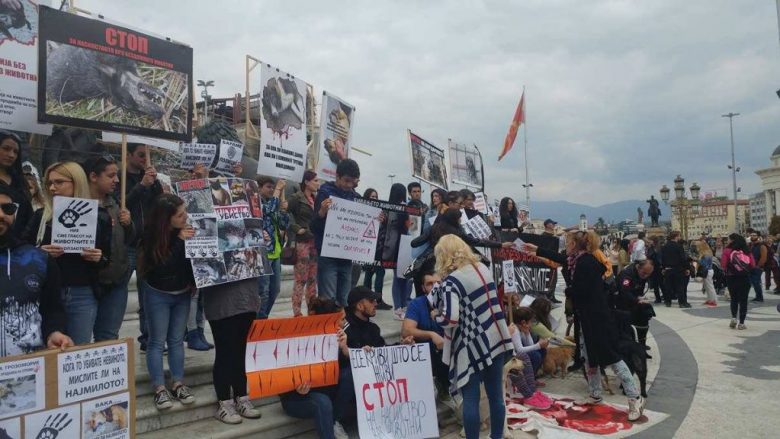 Protesta në Shkup kundër helmimit masiv të kafshëve (Foto/Video)