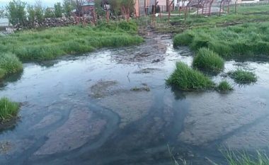 Kanalizimi i shpërthyer në fshatin Henc, banorët të rrezikuar nga infeksionet (Foto)