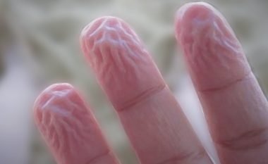 Pse ju rrudhosen gishtërinjtë pas një dushi të gjatë?