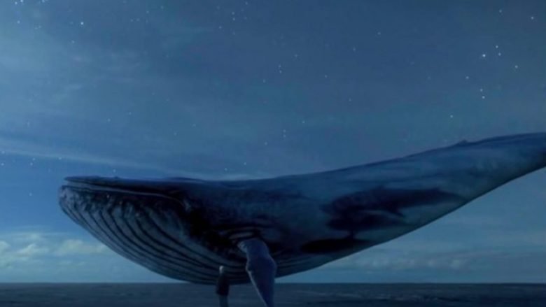 “Sfida e balenës së kaltër”, edhe shqiptari pre e lojës vdekjeprurëse (Video)