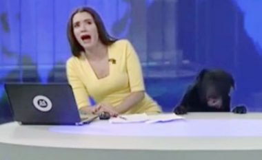 Prezantuesja e lajmeve tmerrohet kur gjatë transmetimit të drejtpërdrejt futet një qen në studio (Video)