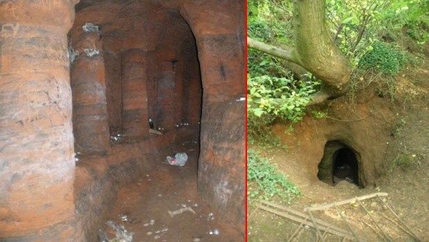 They decided to follow the rabbit that got into a hole - they were ...