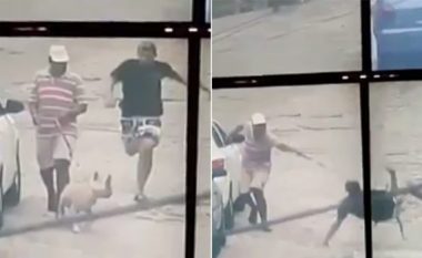 Hajni po ikte nga policia që ishin vënë pas, por hasi në një pitbull që e “neutralizoi” (Video)