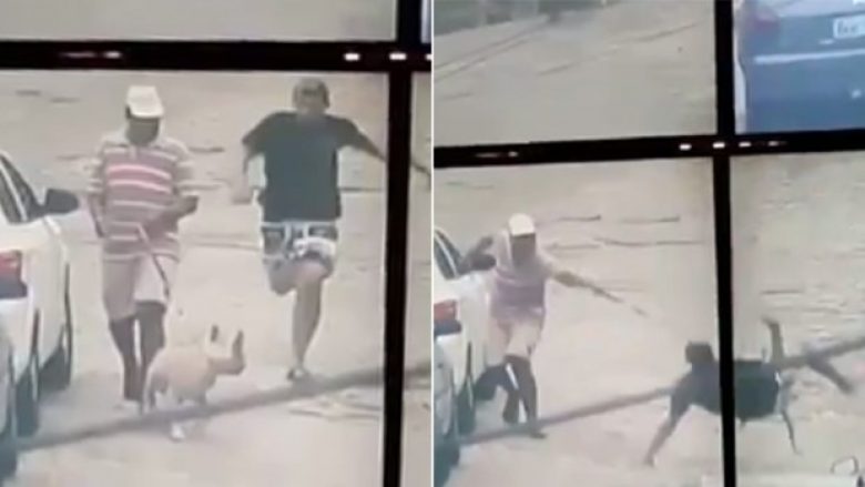 Hajni po ikte nga policia që ishin vënë pas, por hasi në një pitbull që e “neutralizoi” (Video)