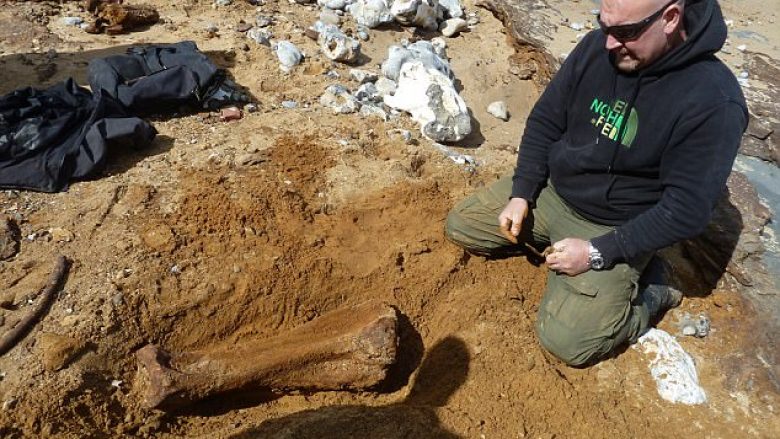 Arkeologët amatorë gjetën ashtin e vjetër më se dy milionë vjet (Foto)