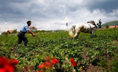 Premtohen shtatë milionë euro më shumë për bujqësinë në Maqedoni