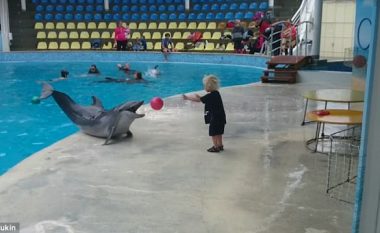 Delfini luan top me vogëlushin (Video)