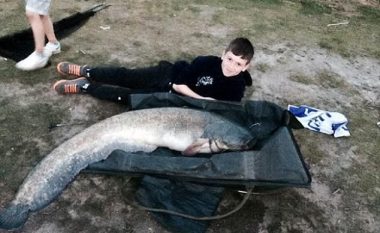 Fëmija zuri peshkun prej 25 kilogramëve, më të gjatë se trupi tij (Foto)