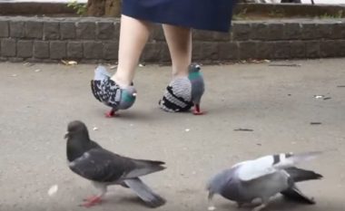 Këpucët e çuditshme, për të mos frikësuar pëllumbat (Video)