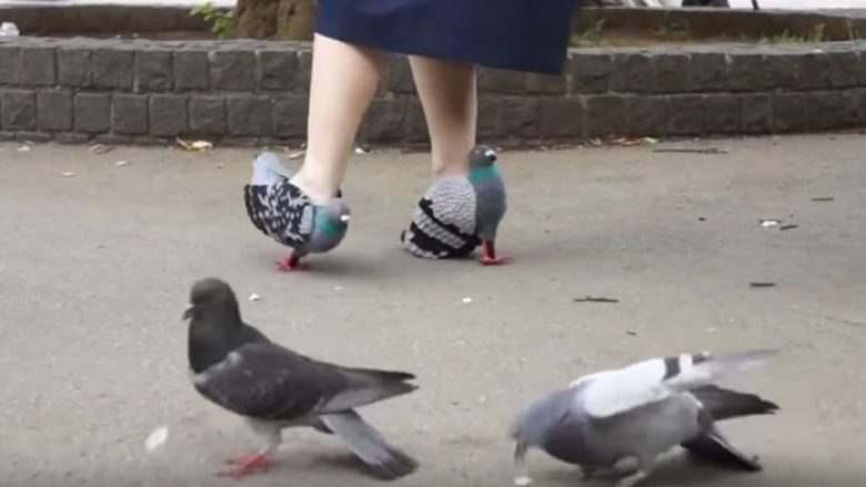 Këpucët e çuditshme, për të mos frikësuar pëllumbat (Video)