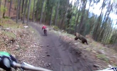 Moment i frikshëm: Biçiklisti ndiqet nga ariu, derisa ishte duke ecur përgjatë një rruge në pyll (Video)