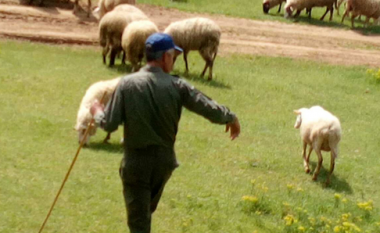 Takim me bujkun më të vjetër në Maqedoni me rastin e “Shën Gjergjit”