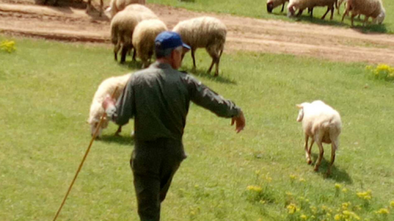 Takim me bujkun më të vjetër në Maqedoni me rastin e “Shën Gjergjit”