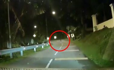 Një figurë e çuditshme e ulur në mes të rrugës, tmerrohen shoferi dhe pasagjeri (Video)