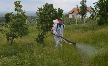 Filloi fushata e spërkatjes së zonave endemike në Malishevë