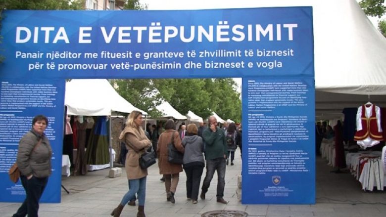 100 biznese dhe 300 të punësuar nga programi i vetëpunësimit