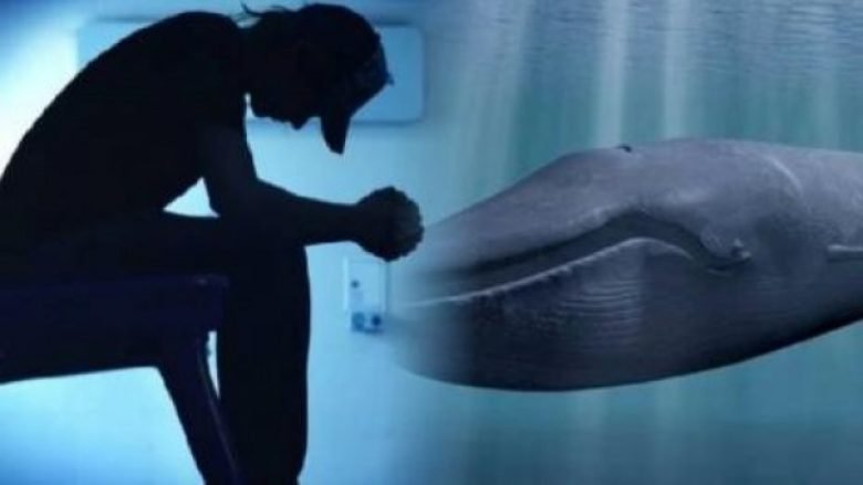 Balena Blu edhe katër raste të reja në Shkodër (Video)