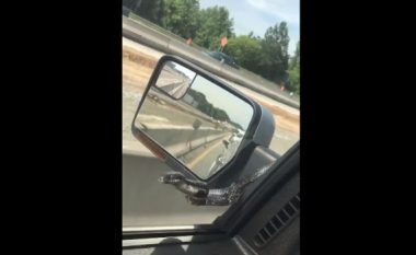 Derisa voziste në autostradë, i shfaqet para syve një gjarpër gjigant (Video)