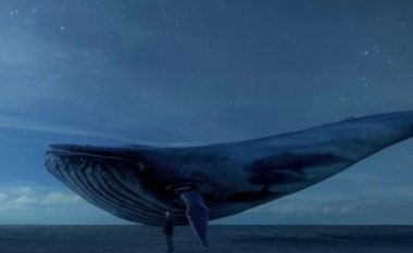 Loja vdekjeprurëse “Balena e Kaltër”, shpëtohet e mitura nga Gjirokastra (Video)