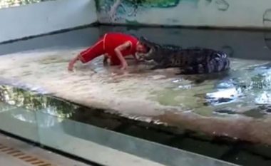 Fut kokën në gojën e krokodilit, por kur reptili bashkon nofullat ndodh tmerri (Video, +18)