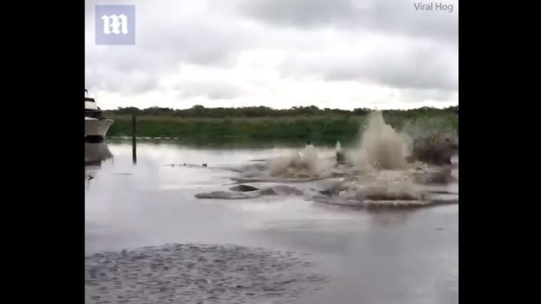Filmoi burrin duke derdhur kovën me ujë në liqenin që “shpërthen”, tani rrezikohet të qëndroj prapa grilave (Video)