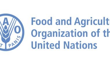 FAO ndihmon Shqipërinë me programin për ushqim në shkolla dhe ushqyerjen