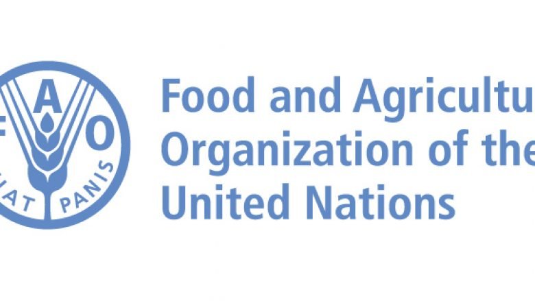 FAO ndihmon Shqipërinë me programin për ushqim në shkolla dhe ushqyerjen