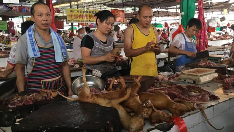 Fillon festivali famëkeq në Kinë ku festohet duke ngrënë mish qeni (Foto)