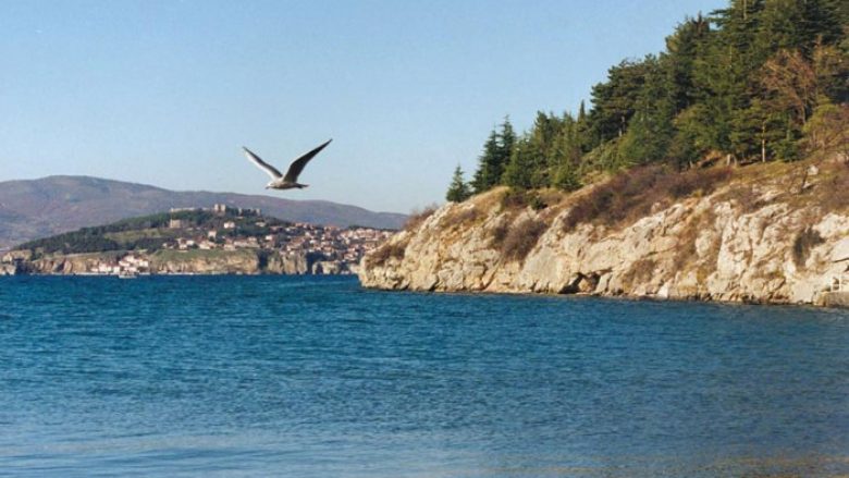 Liqeni i Ohrit pranë një katastrofe ekologjike, ndotja vjen nga uji i kanalizimeve