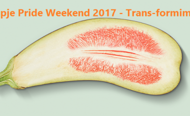 Në Shkup organizohet ”Skopje Pride Weekend 2017 – Transformime”