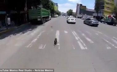 Rrezikoi jetën nëpër trafik të ngjeshur që të shpëtojë një qen të vogël (Video)