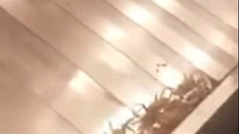 Shiriti që bartë valixhet në aeroport, mbushet me gaforret e ikura nga kontejneri (Video)