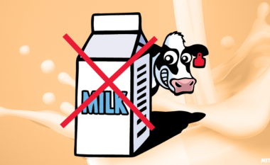 Sigurohuni që kolegët të mos ju vjedhin më qumështin nga frigoriferi (Foto)