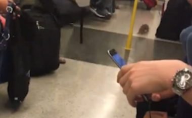 Udhëtarët e frikësuar nga ketri që hyri në tren (Video)
