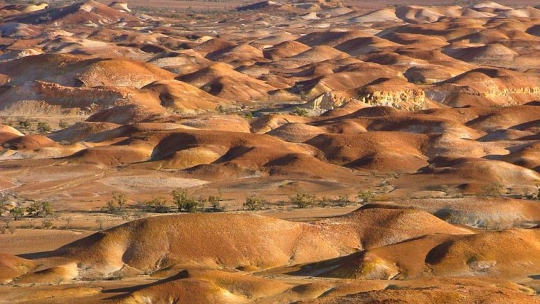 Turistët menduan se ishin duke ecur nëpër një shkretëtirë, ajo që zbuluan i la pa fjalë! (Foto)